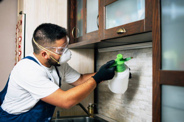Best Mosquito Control Services  in Pinson, AL