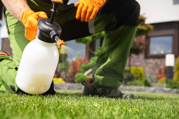 Best Local Pest Control Services  in Pinson, AL