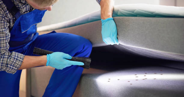 Best Pest Control for Homes  in Pinson, AL