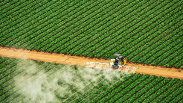 Pest Control Cost in Pinson, AL