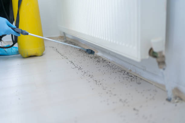 Best Bed Bug Extermination  in Pinson, AL