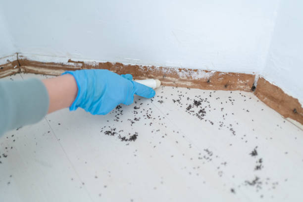 Best Pest Removal Services  in Pinson, AL