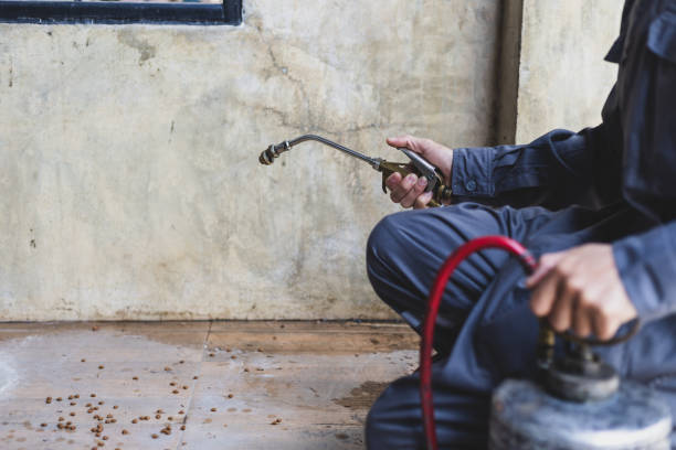 Best Termite Control Services  in Pinson, AL