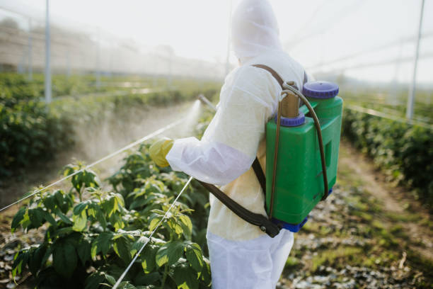 Best Pest Control Near Me  in Pinson, AL